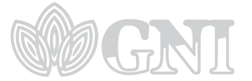 GNI-